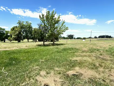 Terreno en Arroyo De La Cruz
