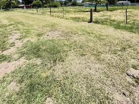 Terreno en Arroyo De La Cruz