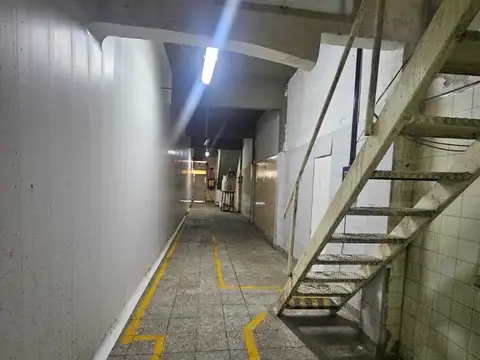 PARAISOS 800