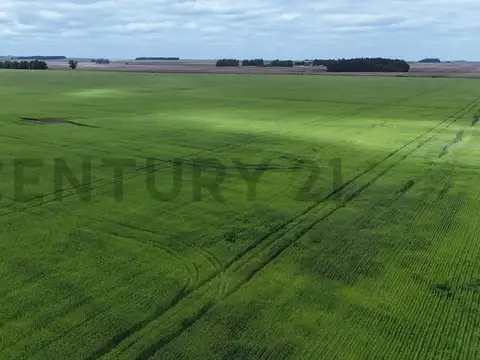 Campo en Venta de 0,02  ha