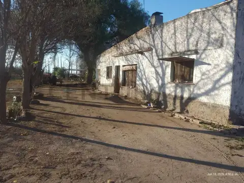 Venta de Finca en General Alvear. Productiva