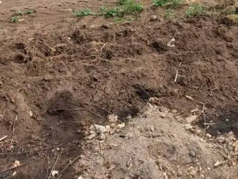 Campo en Venta de 7,10  ha
