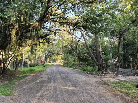 Terreno arbolado en Villa Fabiana, donde los árboles se abrazan