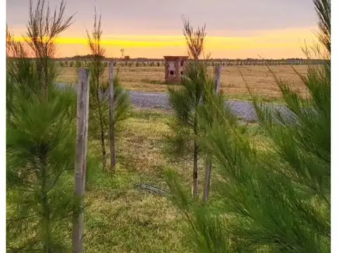 LOTES EN VENTA EN B° PRIVADO DE CHACRAS PAMPA DE SAN VICENTE DE 2500 a 5000 m2