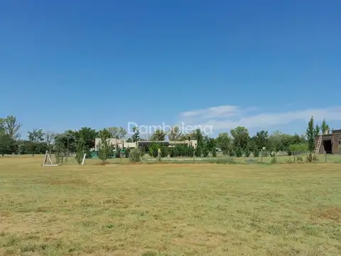 Ruta Provincia N° 6 Km 155 100