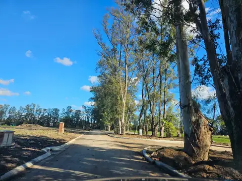 Terreno en Venta de 505,0 m2