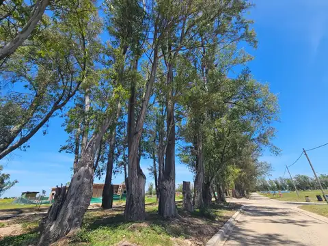 Terreno en Venta en Pilar Del Este, USD 23.000