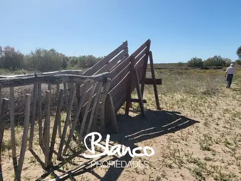 Terreno Campo  en Venta en 25 De Mayo, Puelen, La Pampa - BLA9065_LP583606_2