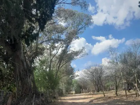 2 hectáreas con casa en San Pedro