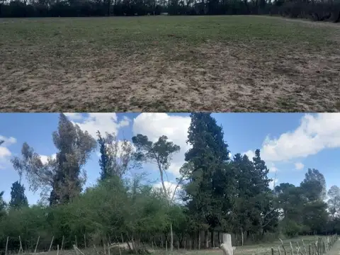 Consultar dirección