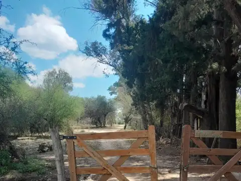 2 hectáreas con casa en San Pedro