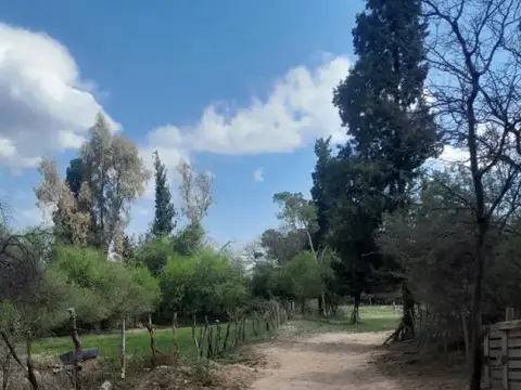 Consultar dirección