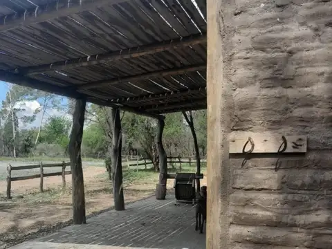 Consultar dirección