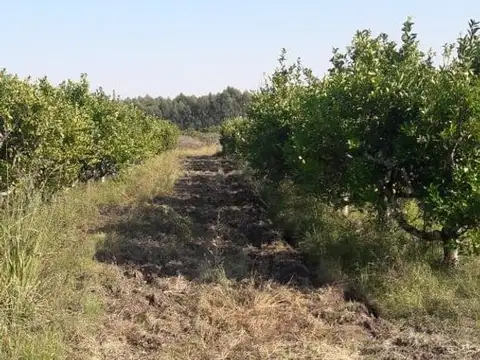 Campo en Venta de 3  ha