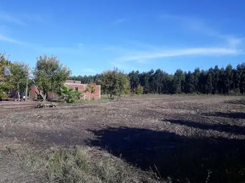 La Criolla