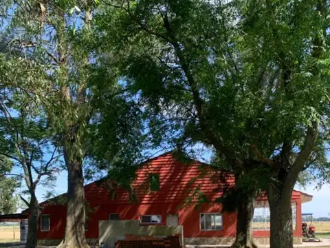 Terreno en Venta en Domselaar, USD 4.500