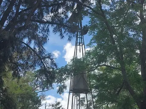 Benjamin Matienzo 2200