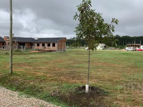 Terreno en Venta 30  mts Fondo