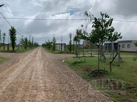 Estilo Campo Gibraltar 1471  al 1400 Canning Ezeiza