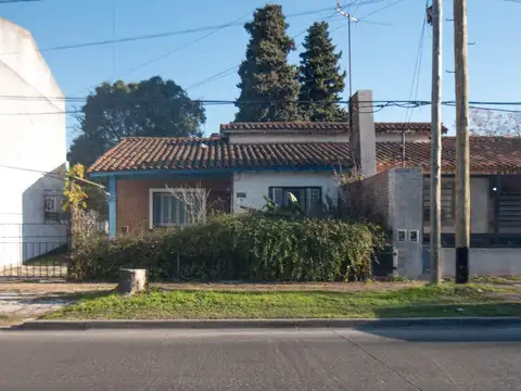 Poeta Risso 500