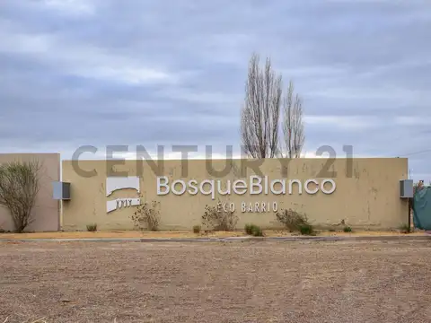 LOCAL EN VENTA EN JUNIN MENDOZA
