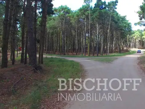 COSTA ESMERALDA , PARTIDO DE LA COSTA