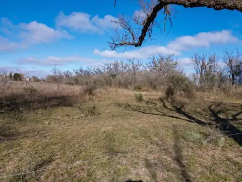 Terreno en Venta de 10001,0 m2