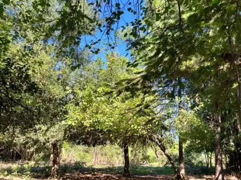 Terreno en Venta de 9998,0 m2