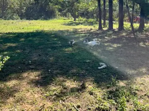 Terreno en Venta 238,06  mts Fondo