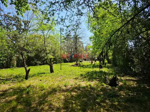 Joaquín V. González 2100