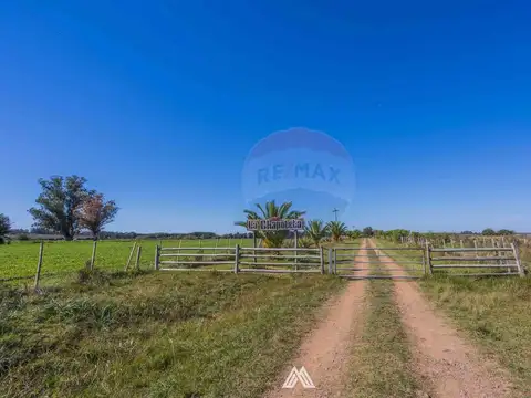 VENTA CAMPO Y DOS CASAS EN CANELONES SAN JACINTO