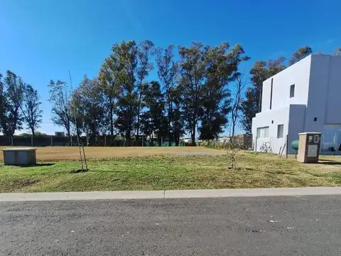 Rbs. Lote En Barrio Santa Elisa , Pilar Del Este