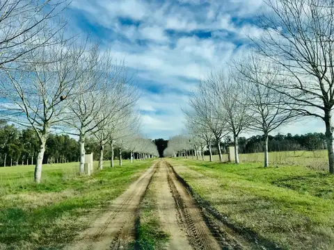Terreno en Venta de 1250,0 m2