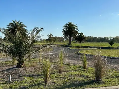 Terreno en Venta de 2000,0 m2