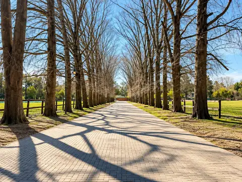 Terreno en Venta de 792,0 m2