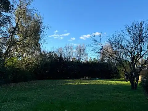 calle 309, entre c.48 y c.46