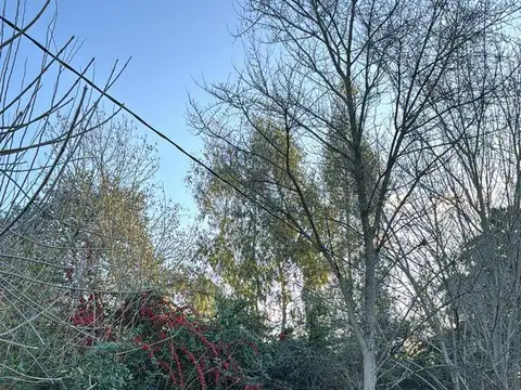 Terreno en Venta de 1000,0 m2