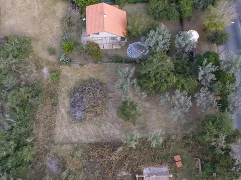 Consultar dirección