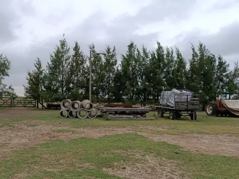 Campo en venta en Cañuelas Rural-Sobre Ruta Nacional Nro. 3 Km 87.5