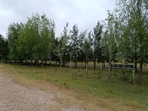 Campo en venta en Cañuelas Rural-Sobre Ruta Nacional Nro. 3 Km 87.5