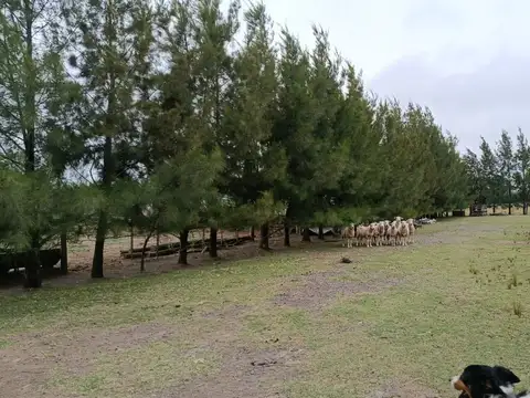 Ruta Nacional 3 km 87,5