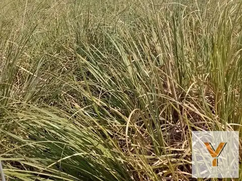 Terreno en Venta 108  mts Fondo