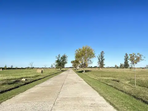 Terreno en Venta 40  mts Fondo