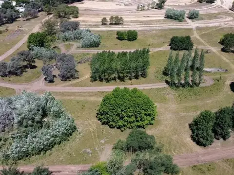 Terreno en Venta de 764,0 m2