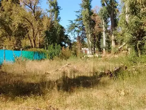 Terreno en Venta 50  mts Fondo