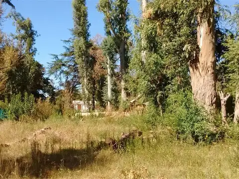 Terreno en Venta de 833,0 m2