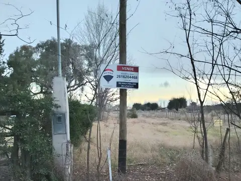 Constanzo 3800