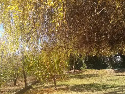 FINCA DE FRUTALES, CARRIL NORTE SAN MARTÍN