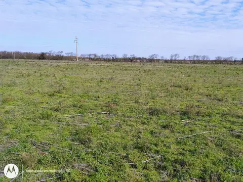 VENTA 55 HAS CAMPO AGRICOLA SAN MARIANO