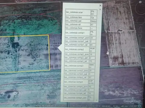 VENTA 55 HAS CAMPO AGRICOLA SAN MARIANO